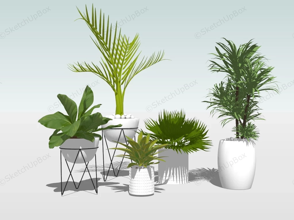 Potted Houseplants sketchup model preview - SketchupBox