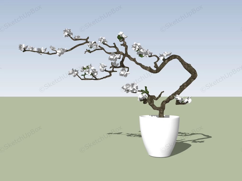 Flowering Bonsai Tree sketchup model preview - SketchupBox