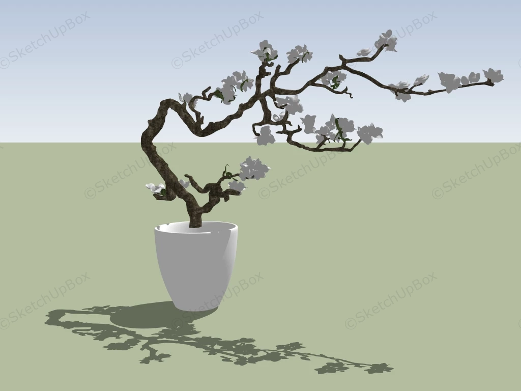 Flowering Bonsai Tree sketchup model preview - SketchupBox