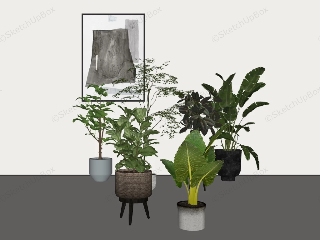 6 Indoor Plant Collection sketchup model preview - SketchupBox