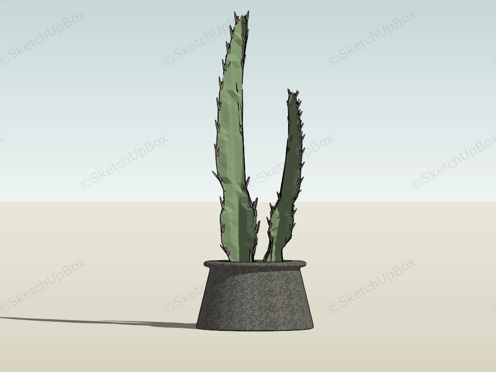 Potted Cereus Hildmannianus sketchup model preview - SketchupBox