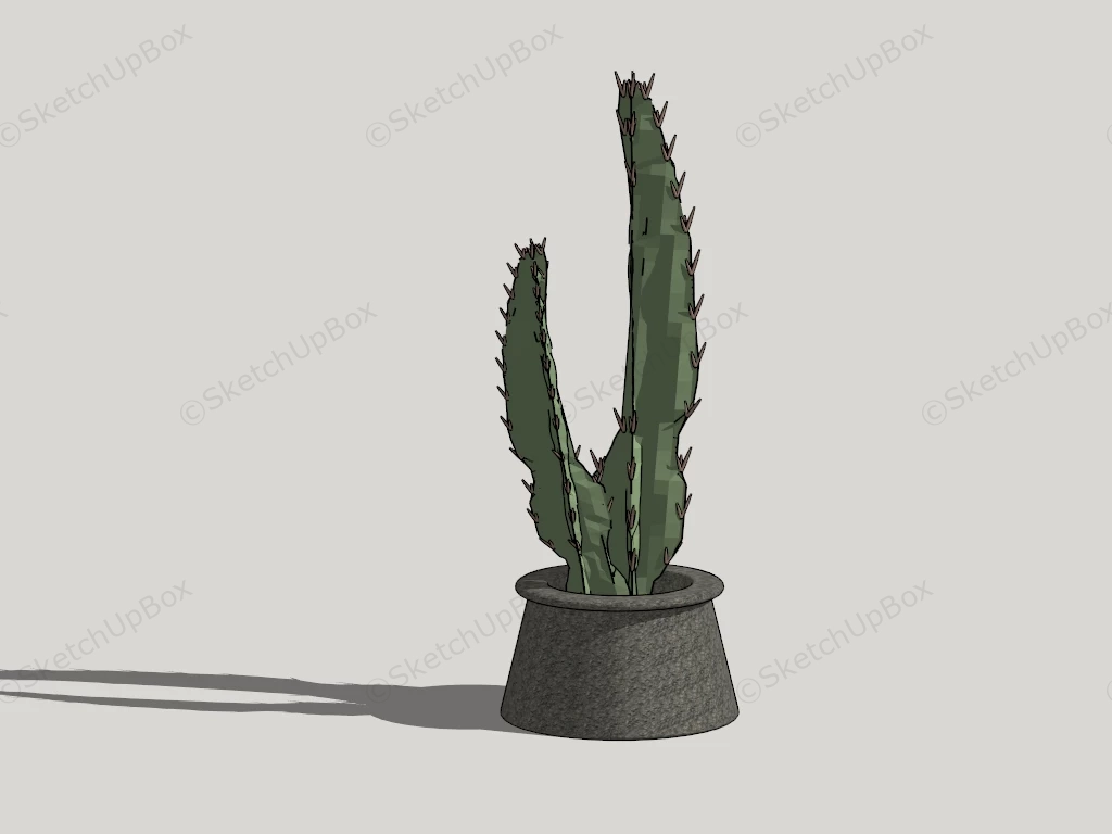 Potted Cereus Hildmannianus sketchup model preview - SketchupBox