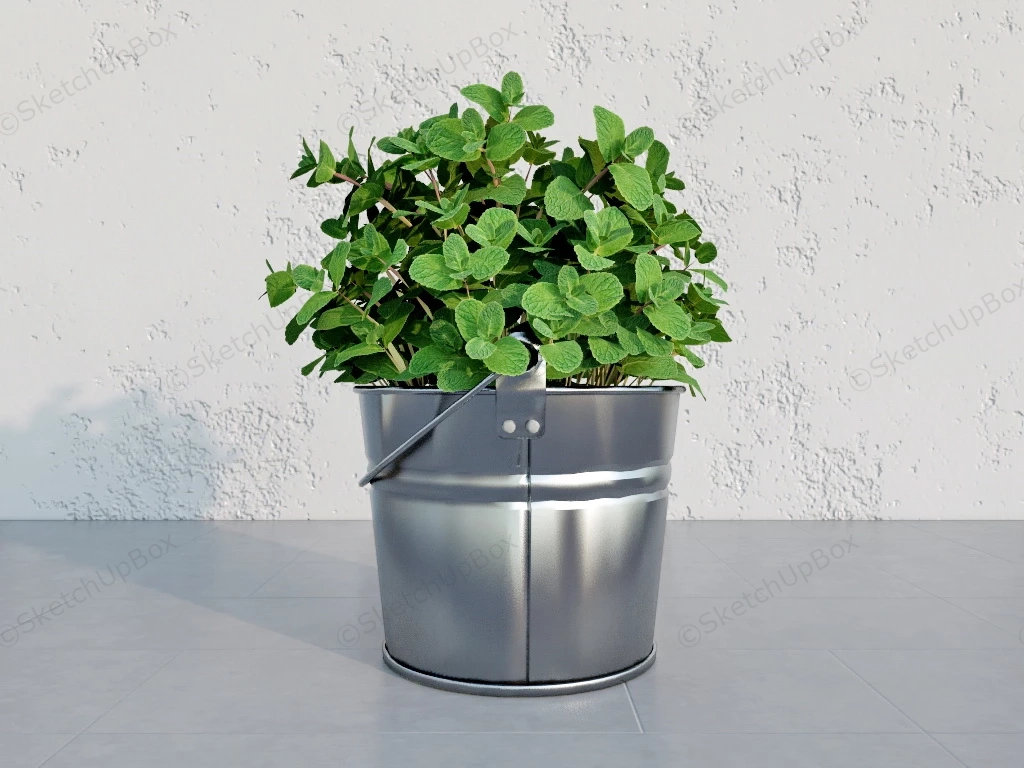 Potted Mint Plant sketchup model preview - SketchupBox