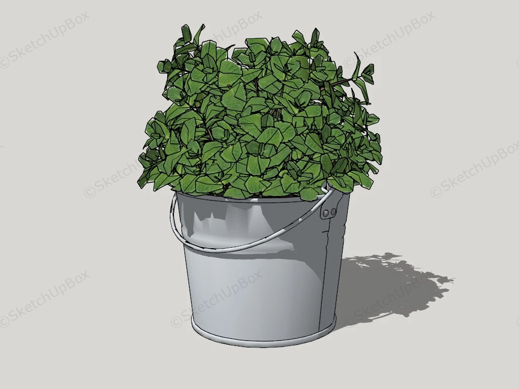 Potted Mint Plant sketchup model preview - SketchupBox