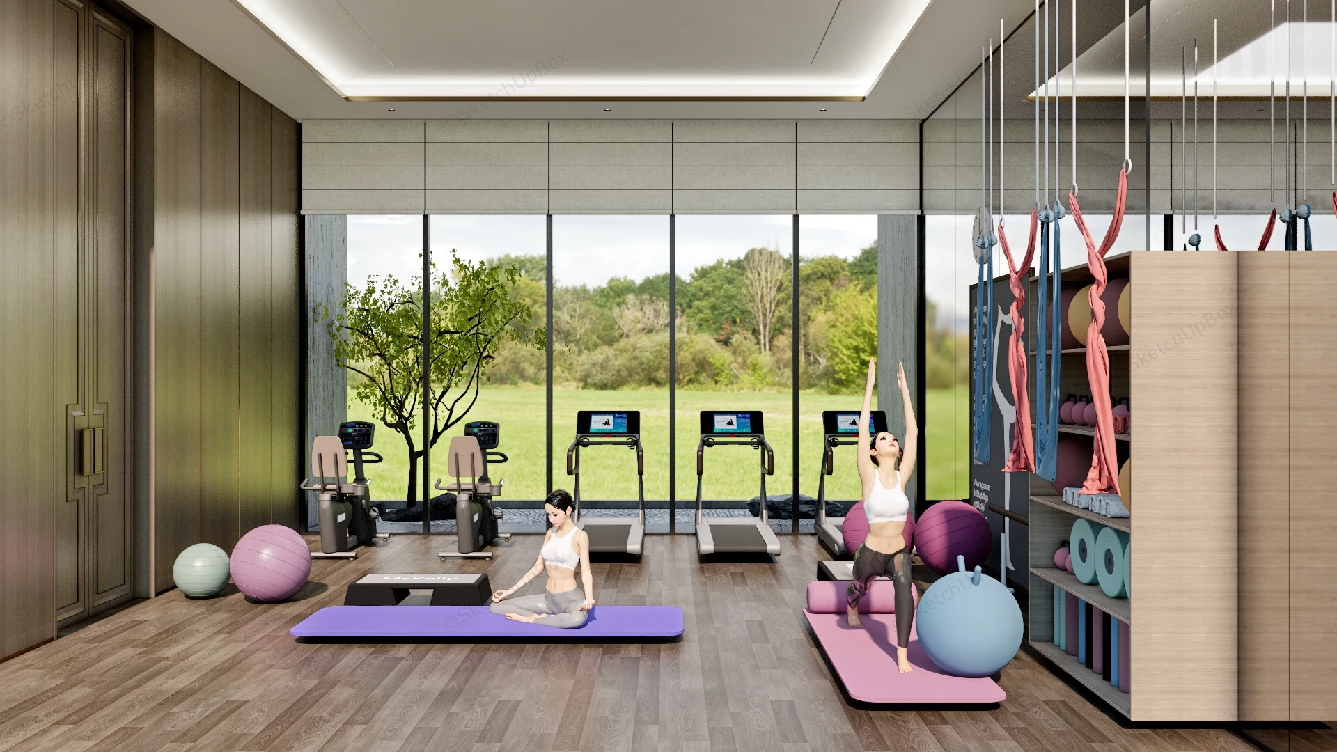 Fitness And Yoga Workout Room Idea sketchup model preview - SketchupBox