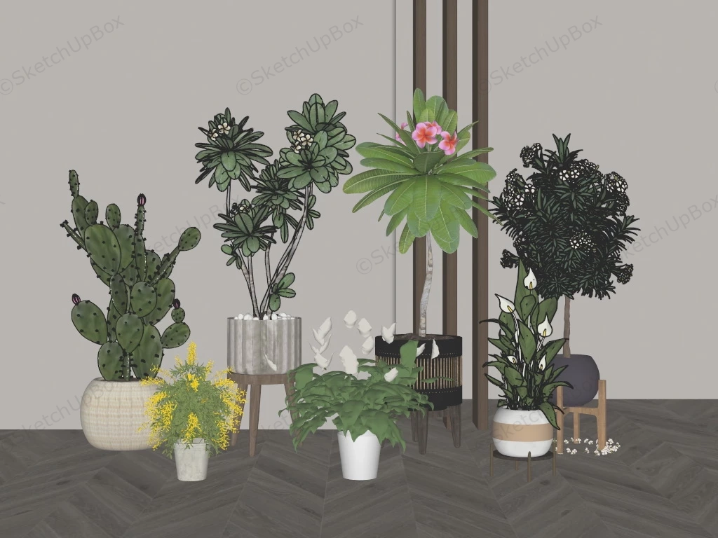 Flowering Indoor Houseplants sketchup model preview - SketchupBox