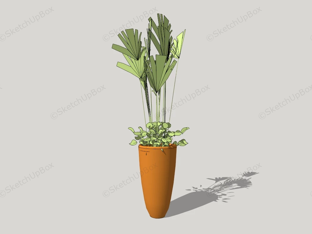 Fan Palm Houseplant sketchup model preview - SketchupBox