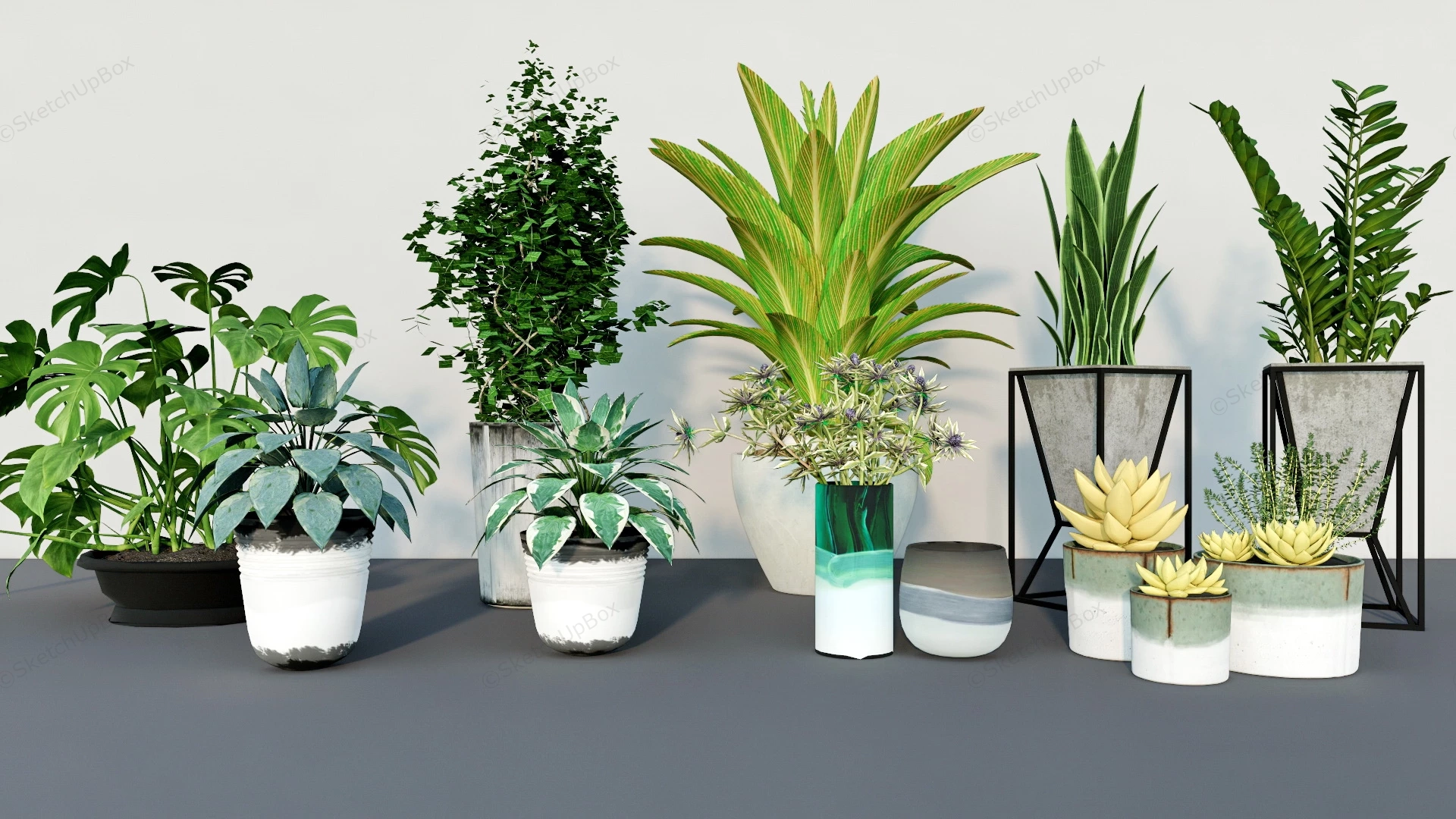 Homely Houseplant Collection sketchup model preview - SketchupBox