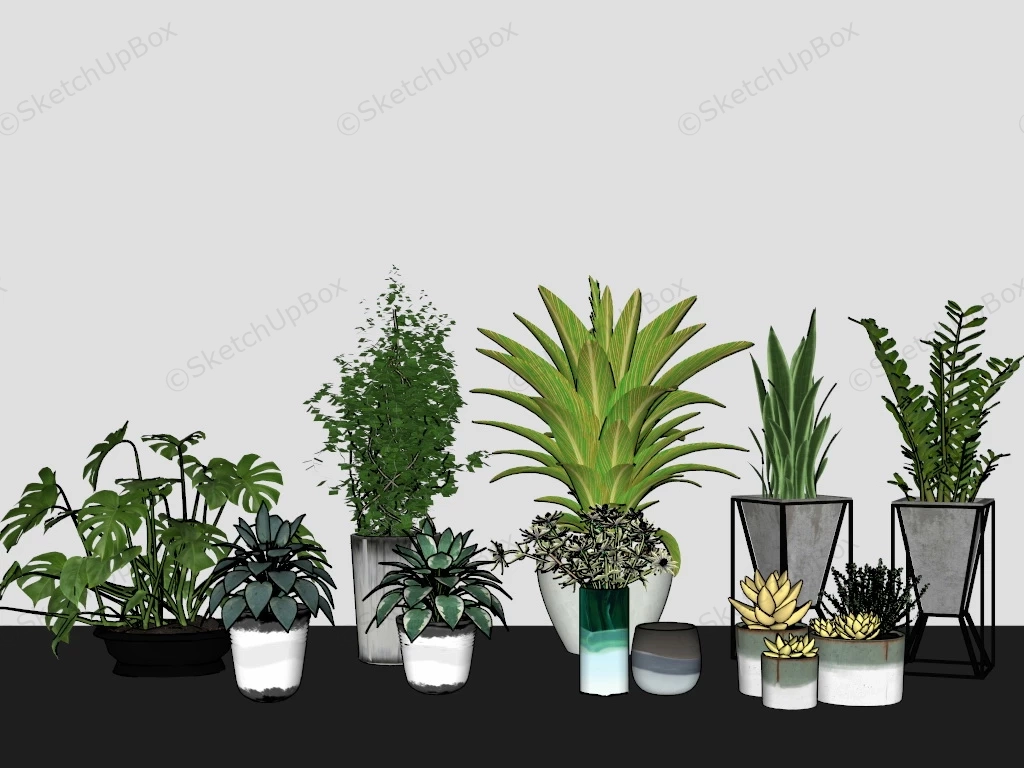 Homely Houseplant Collection sketchup model preview - SketchupBox