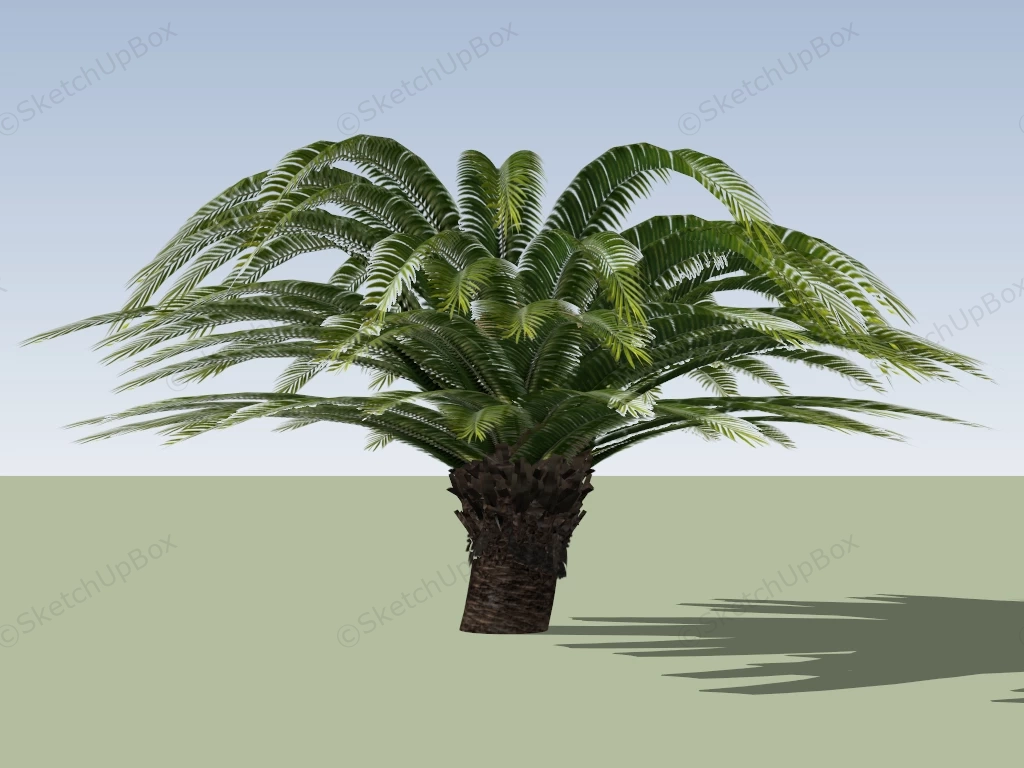 King Sago Palm Tree sketchup model preview - SketchupBox