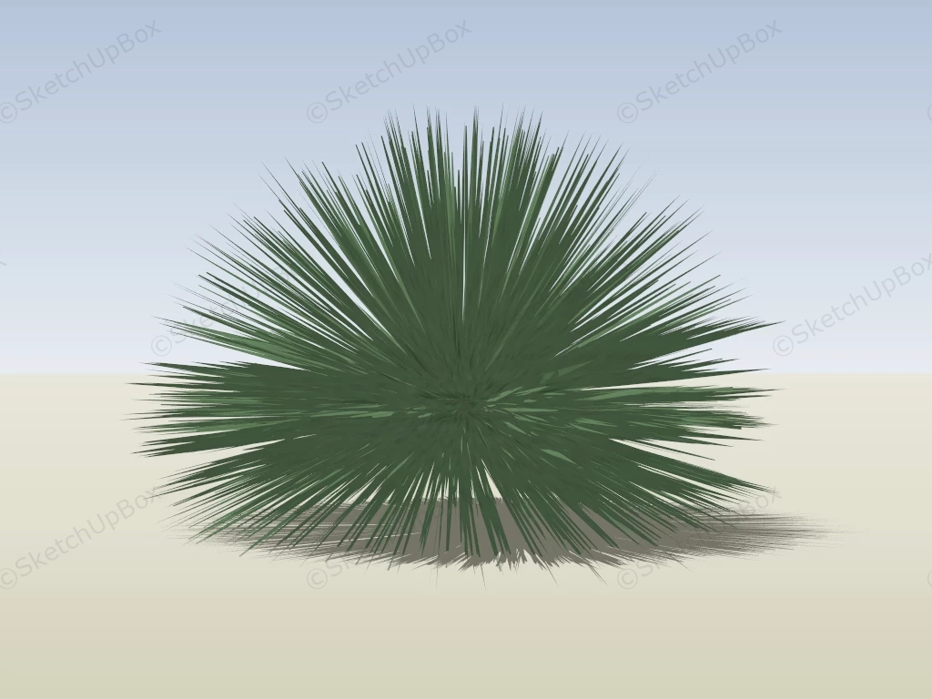 Twin Flowered Agave sketchup model preview - SketchupBox