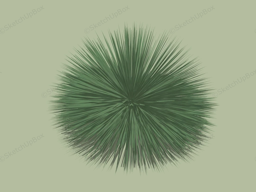 Twin Flowered Agave sketchup model preview - SketchupBox