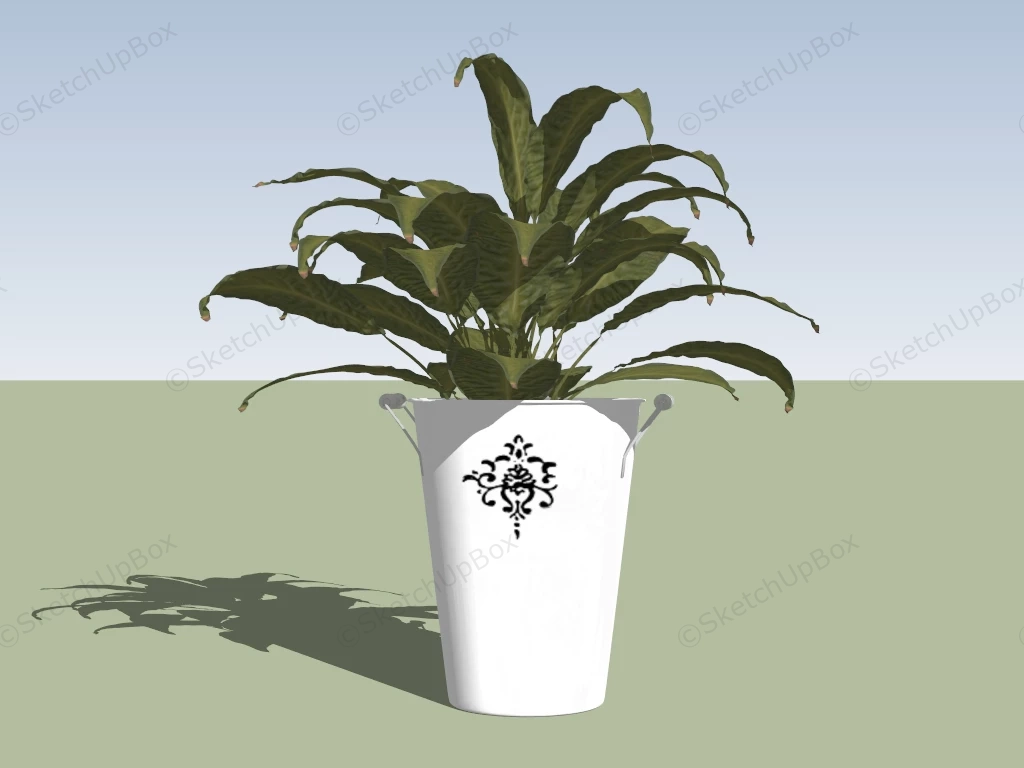 Bird Nest Fern Plant sketchup model preview - SketchupBox