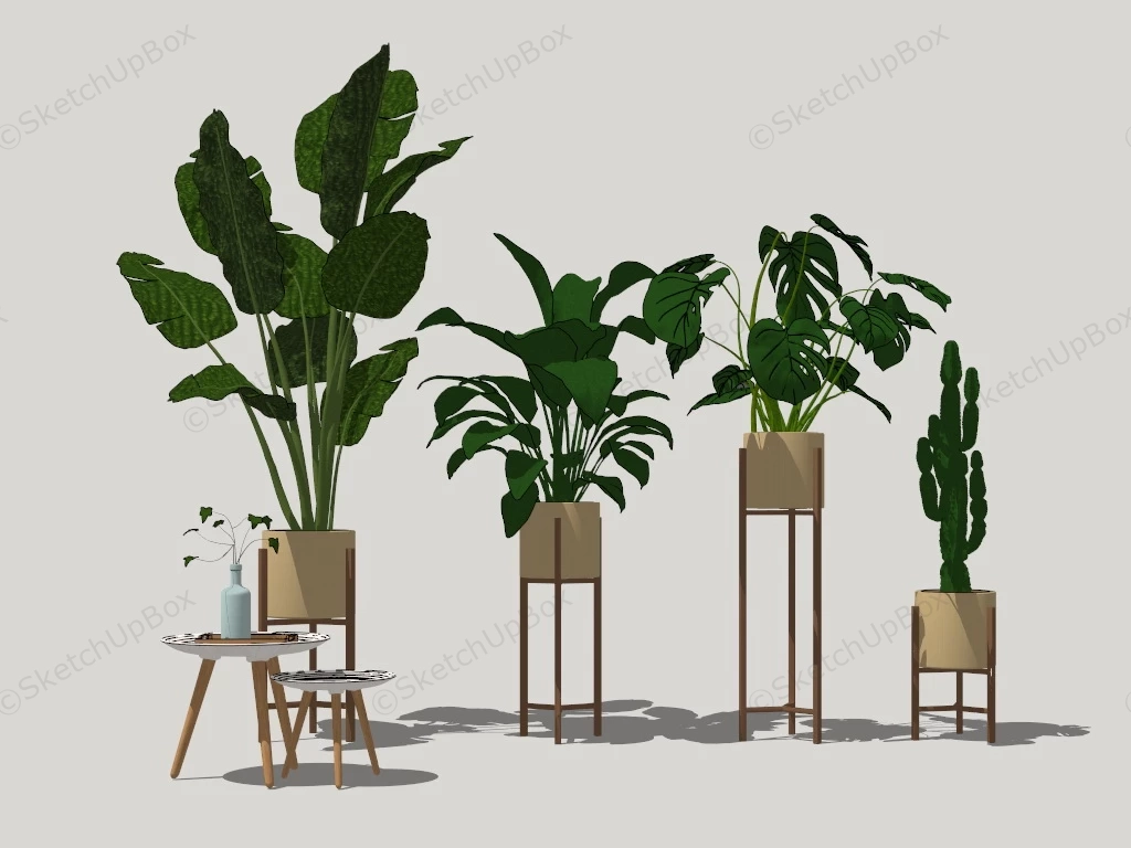 Indoor House Plants With Stands sketchup model preview - SketchupBox