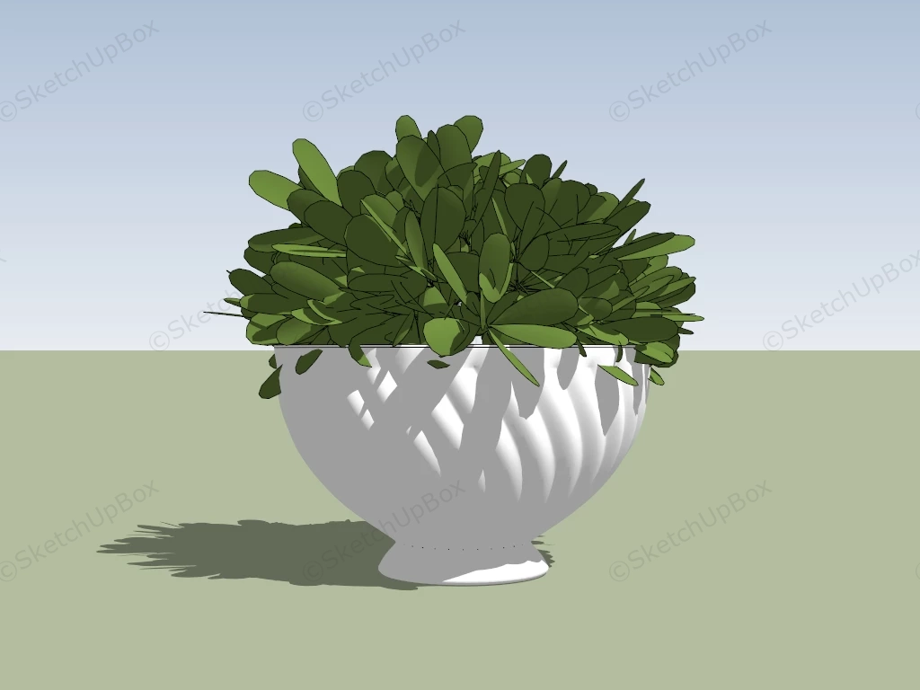 Faux Boxwood In Pot sketchup model preview - SketchupBox