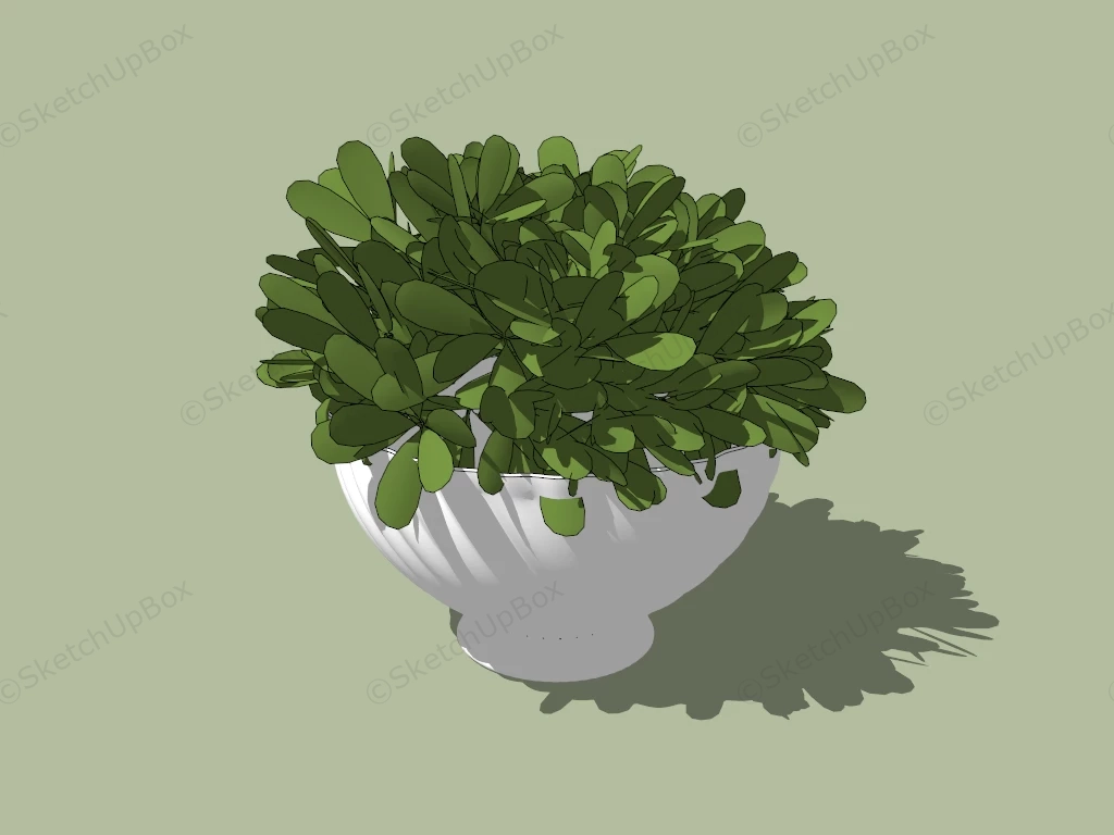 Faux Boxwood In Pot sketchup model preview - SketchupBox