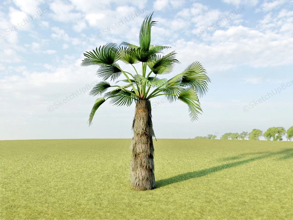 Mexican Fan Palm Tree sketchup model preview - SketchupBox