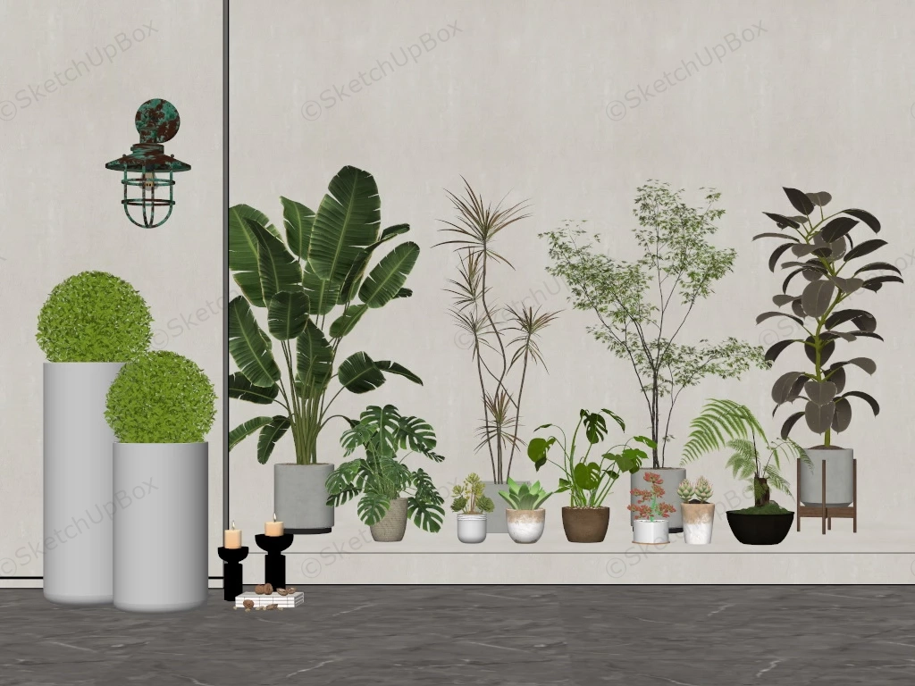 Collection Of Indoor Plants sketchup model preview - SketchupBox