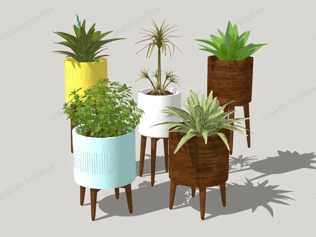 Indoor Plants With Stand sketchup model preview - SketchupBox