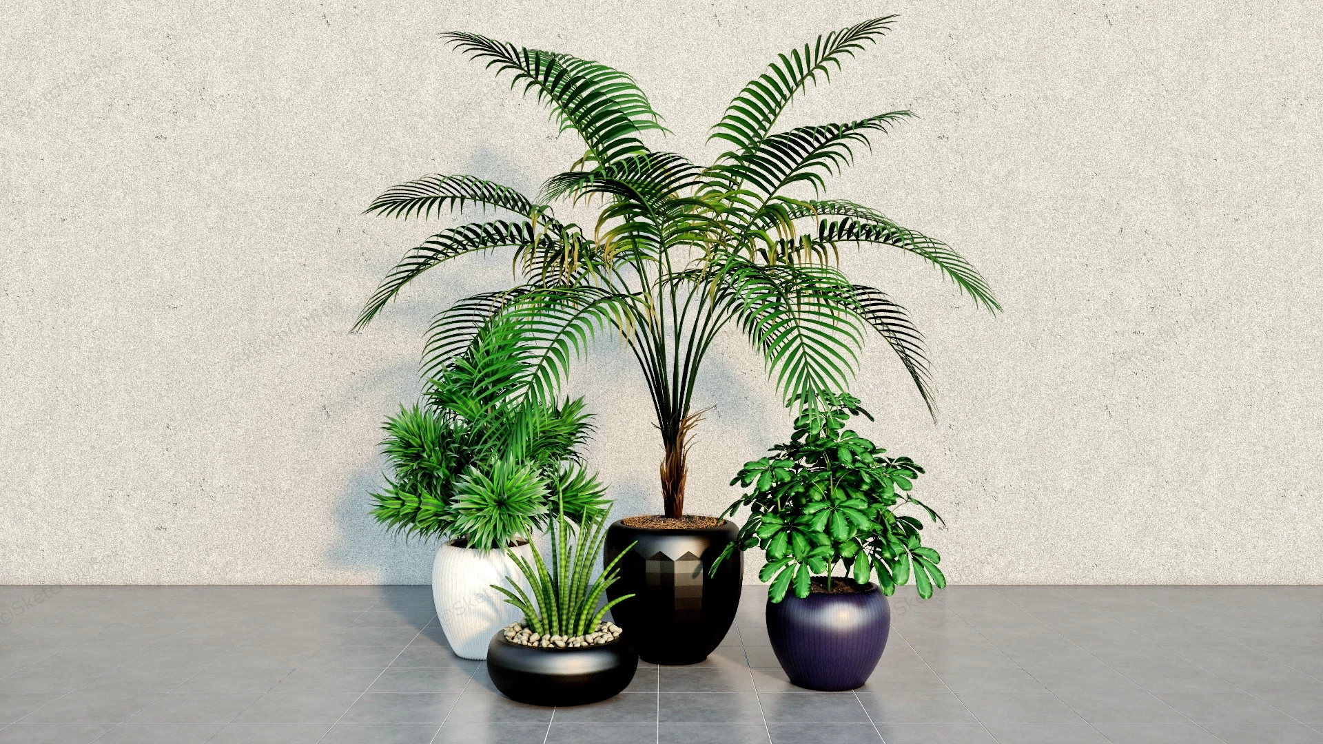 Set Of Houseplants sketchup model preview - SketchupBox