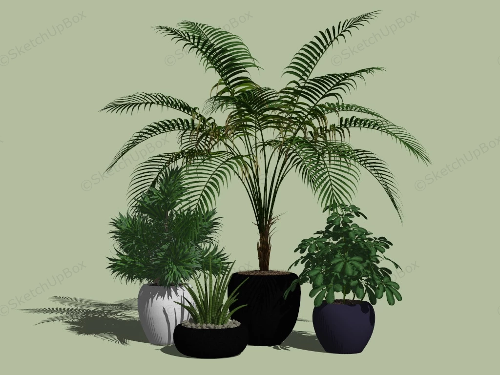 Set Of Houseplants sketchup model preview - SketchupBox