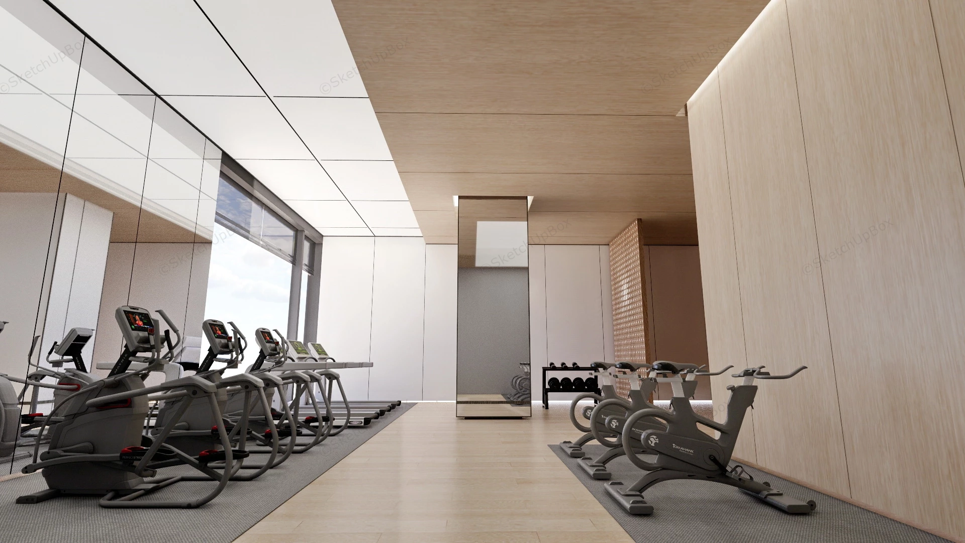 Office Gym Design sketchup model preview - SketchupBox