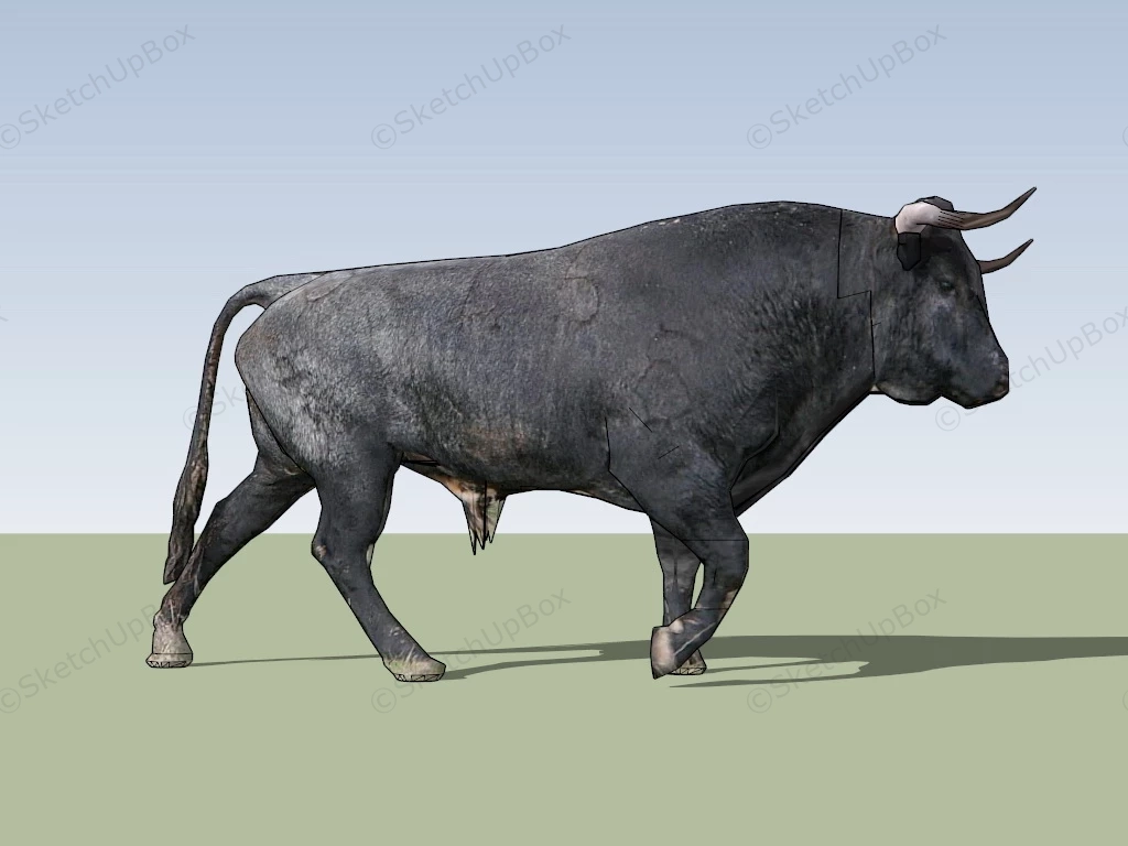 Black Buffalo sketchup model preview - SketchupBox