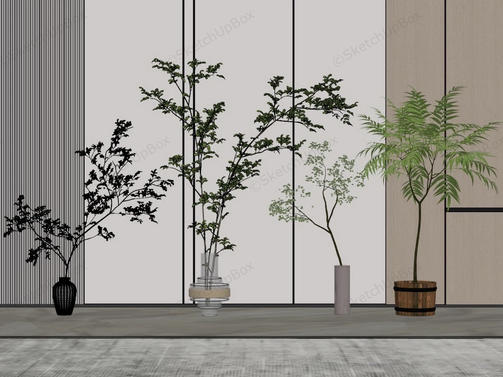 Tall Thin Indoor Plants sketchup model preview - SketchupBox