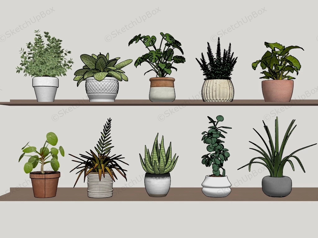 10 Small Indoor Potted Plants sketchup model preview - SketchupBox