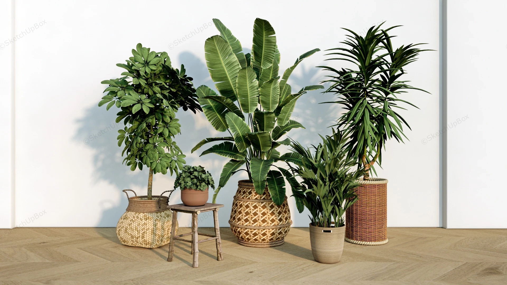 Rattan Potted Plants sketchup model preview - SketchupBox