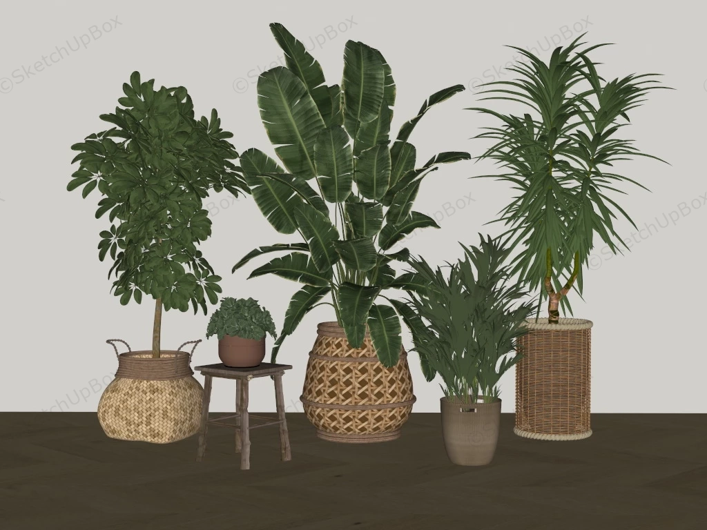 Rattan Potted Plants sketchup model preview - SketchupBox