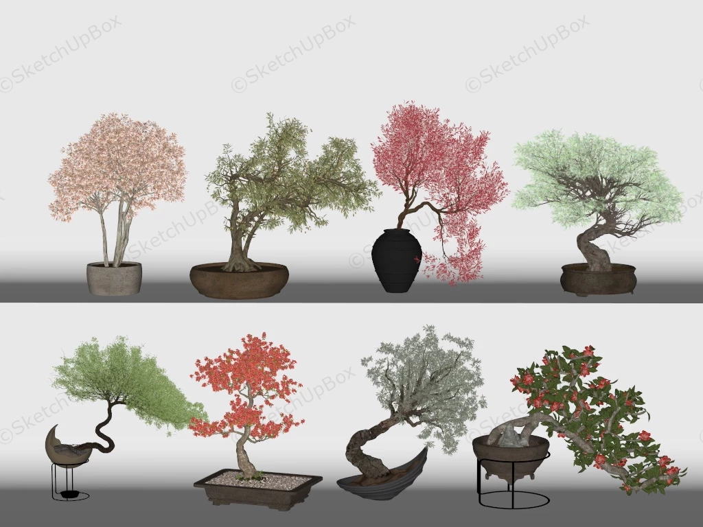 Indoor Bonsai Plants sketchup model preview - SketchupBox