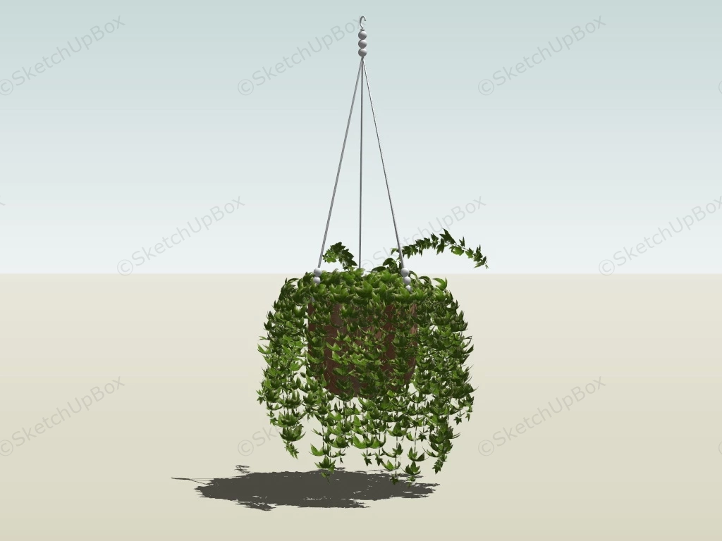 English Ivy Hanging Plant sketchup model preview - SketchupBox